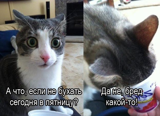 Вечер пятницы или земля опять поднялась