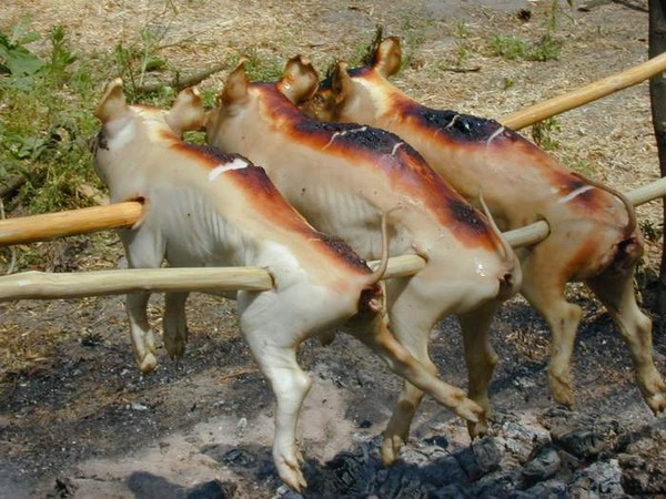Шашлык по-домашнему