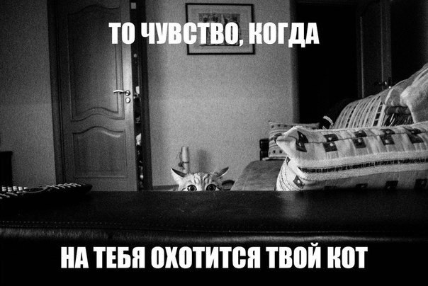 Картинки разные