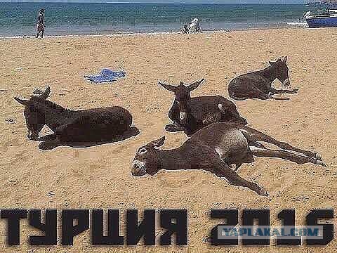 Пляжи 2016