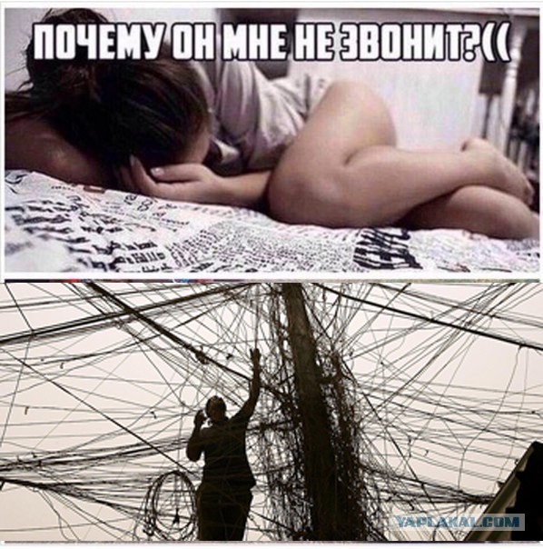 Картинки из интернетов