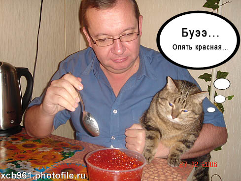 Фотожаба: Правильное питание для кота