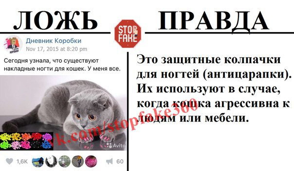 В интернете могут врать?