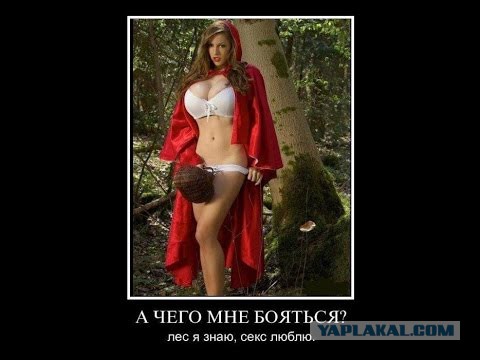 Тайны Красной Шапочки.