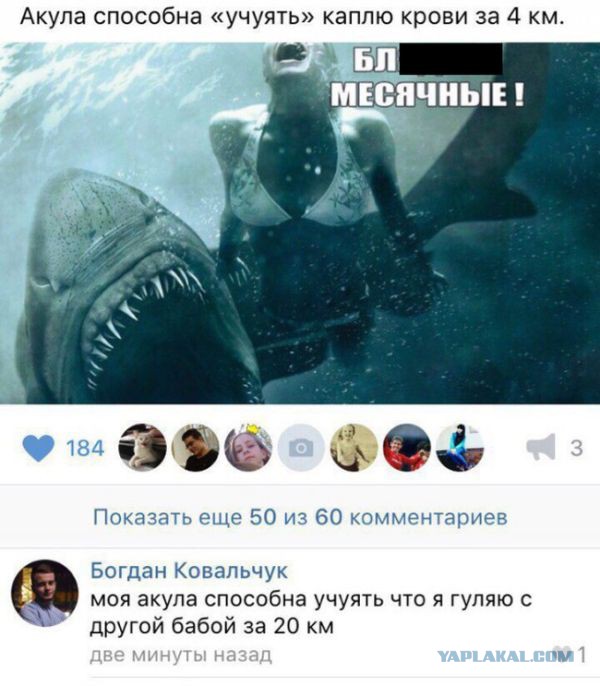 Картинки и гифки, дабы отвлечься