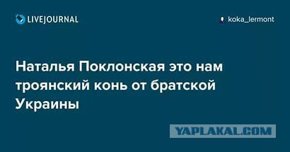 План Поклонской