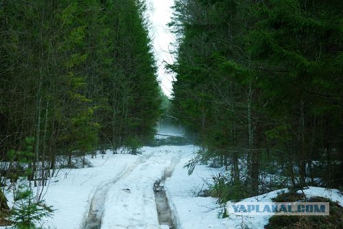 Теплая Русская глубинка (46 фот с просторов)