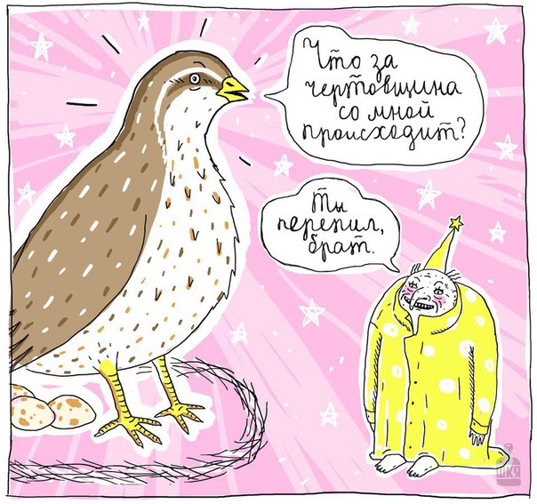 Субботняя деградация