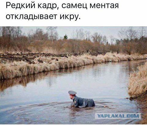 Смешные картинки