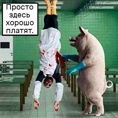 Время веселья для тёмных сил