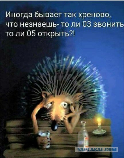 Как быстро избавиться от запаха алкоголя: народные способы