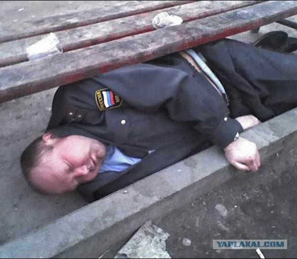 Свинопонедельник, постим свинюшек!