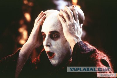 Факты, о которых вы могли не знать