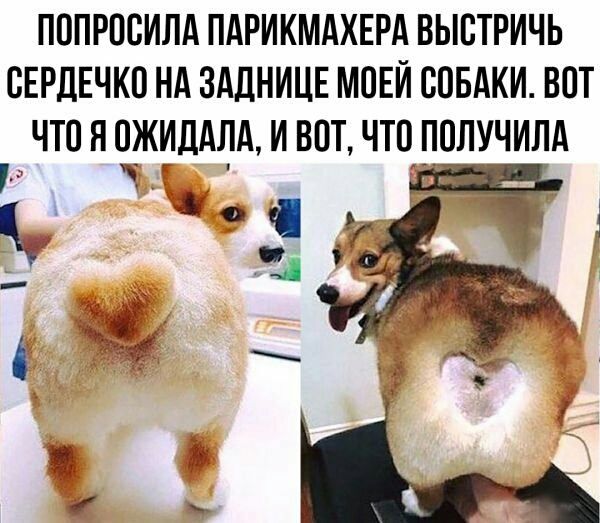 Подборка интересных и веселых картинок 10.02.19