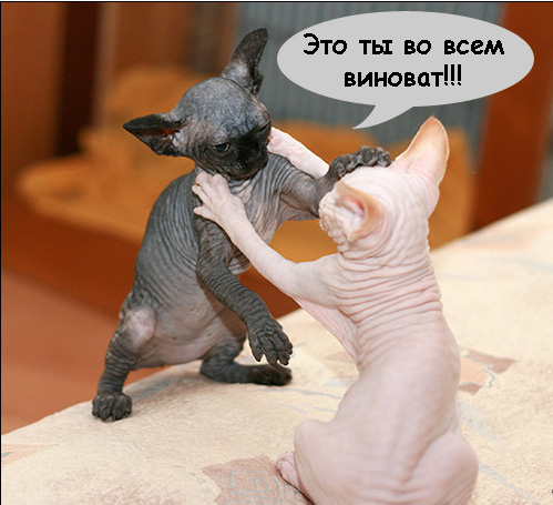 Дорогие господа фотожаберы!