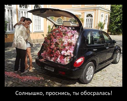 Прикольные комментарии и высказывания из Сети