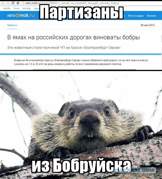 Ахтунг, партизанен!