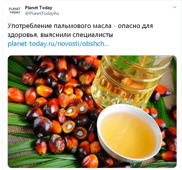 Как России слезть с «пальмы»: Почему вместо нормальных молочных продуктов нам предлагают суррогаты на основе пальмового масла