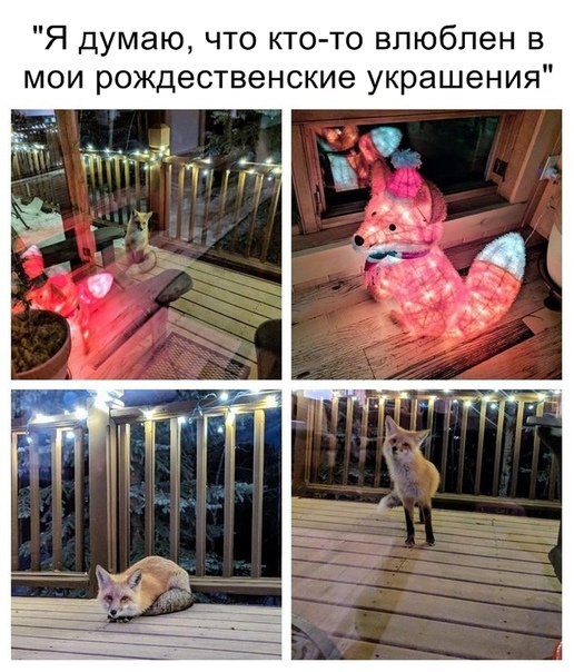 Чуток картинок 02.11.19