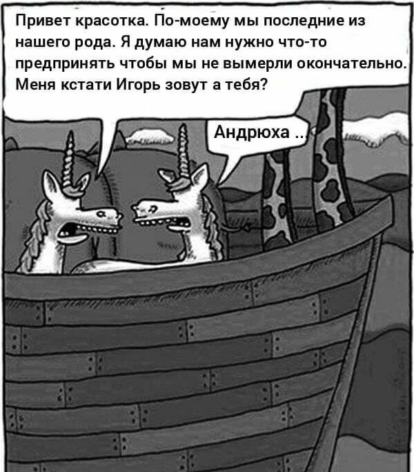 Немного картинок для настроения 11.02.20
