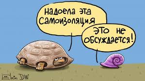 Бредзона 06.04.2020
