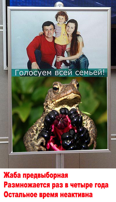 Жабы на ЯПлакалъ