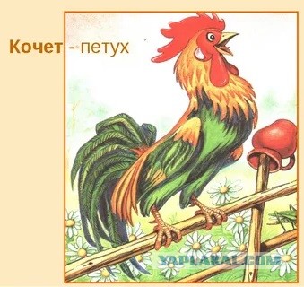 Когда мужчине пора снизить планку