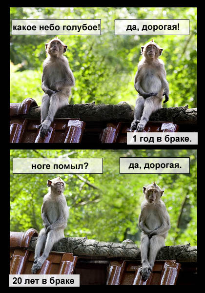 Один день из жизни монаха-отшельника.