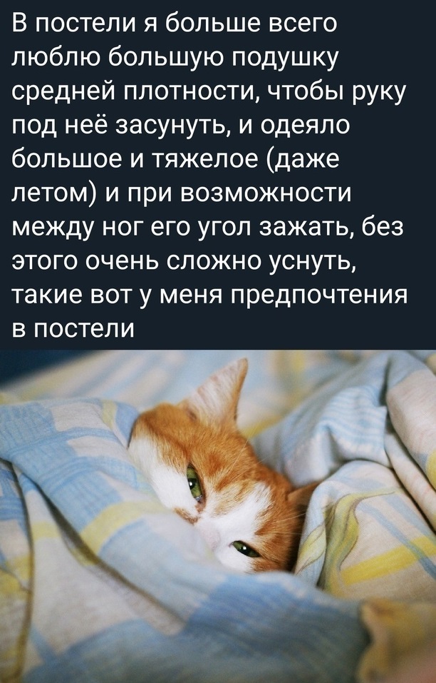Картинки с надписями и всякие жизненные фразы