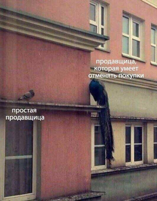Бредзона 21.12.20