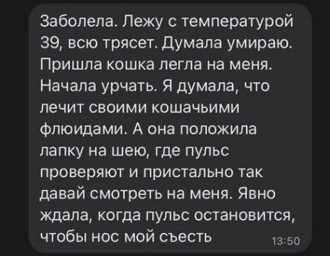 Бредзона 25.12.20