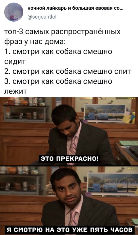 Весёлый полтишок 18.07