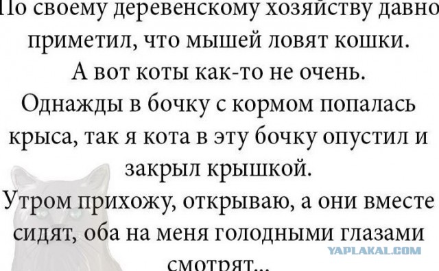 Баянисто-небаянистый юмор 19.07.21