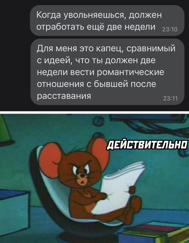 Весёлый полтишок 21.07