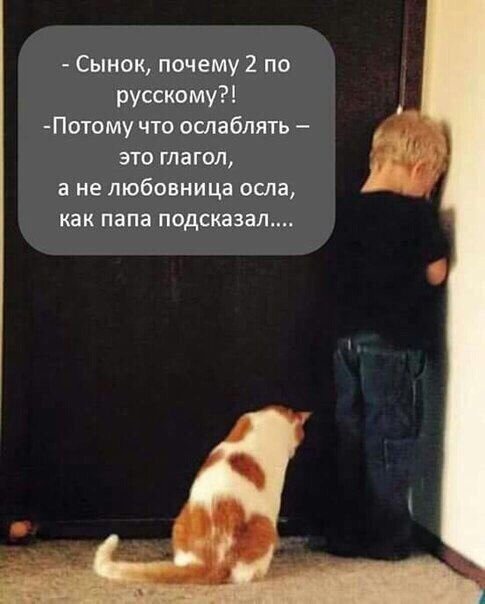 Так себе картинки 07.10.21