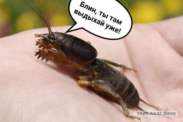 Наша Вселенная крошечный атом, всего лишь песчинка из секстиллиардов которых состоят еще более крупные объекты и существа.