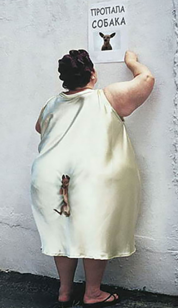 Топ громких расправ над живодёрами