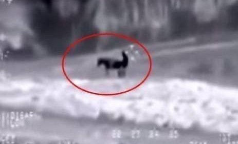 Придур Киева отакуэ