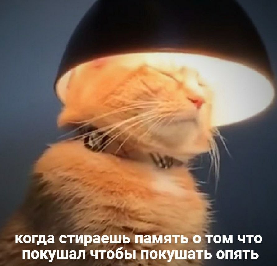 16606450.jpg