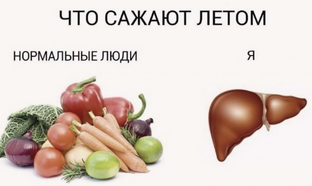 Картинки и мемы для настроения - 19