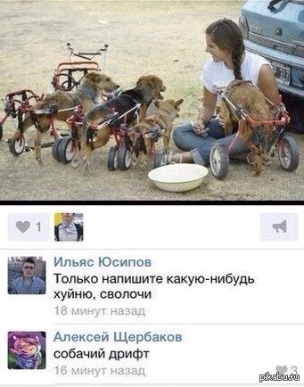 Это кот Валлаби. Он топает к вам навстречу на своих новых протезах.