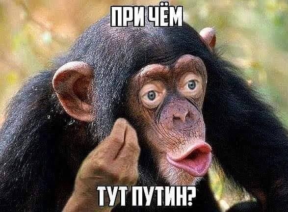 Скейт площадка в Стром Осколе, маленькая разборка с перчиком и тумаками