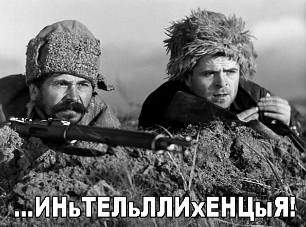 В мире животных