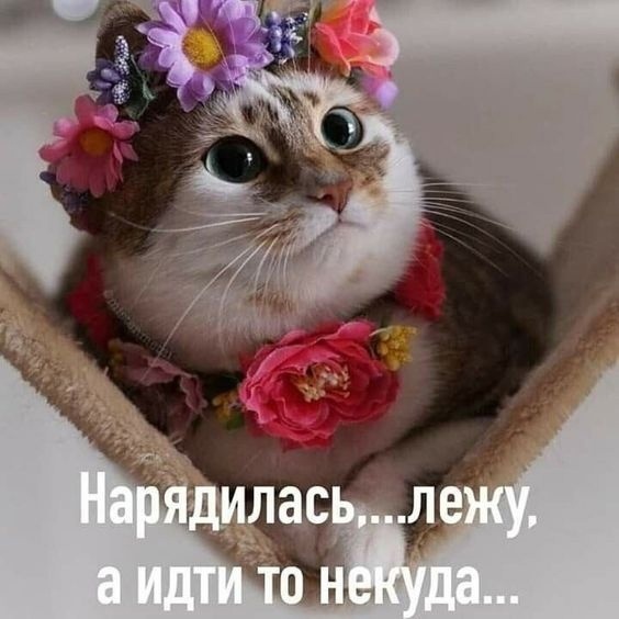 Так себе картинки 25.11.22