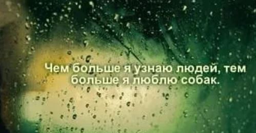 Победная поступь идиотизма по планете – том 4