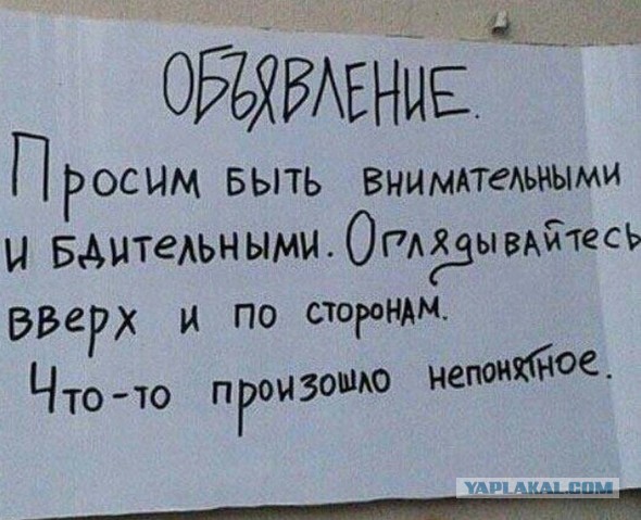 Добрая девушка найдитесь, пожалуйста