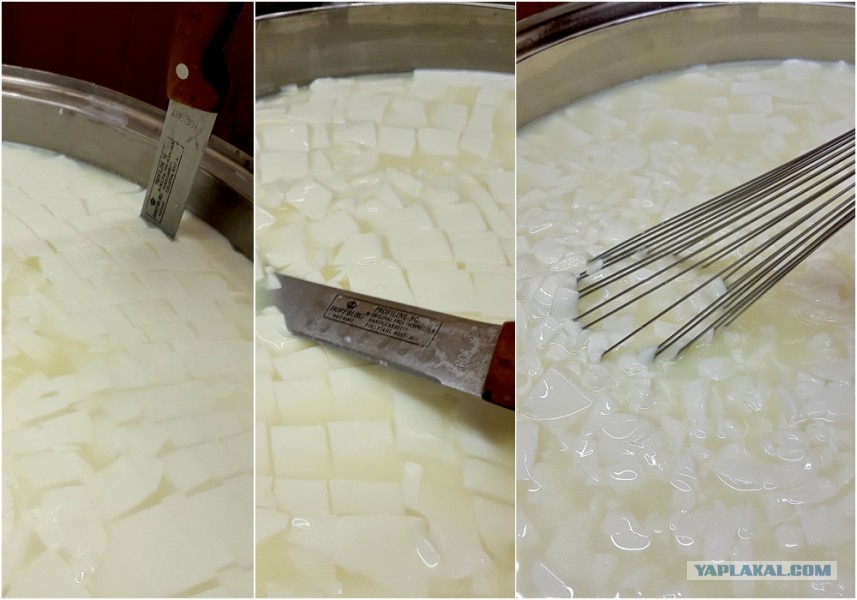 Нож Для Нарезки Сырного Сгустка Купить
