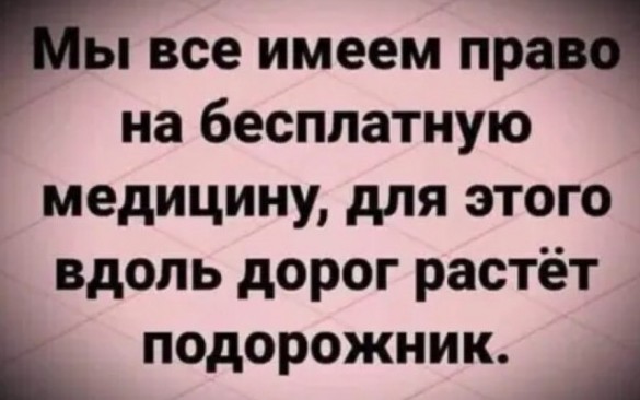 Рамзан Кадыров болен (почки), подозревают отравление
