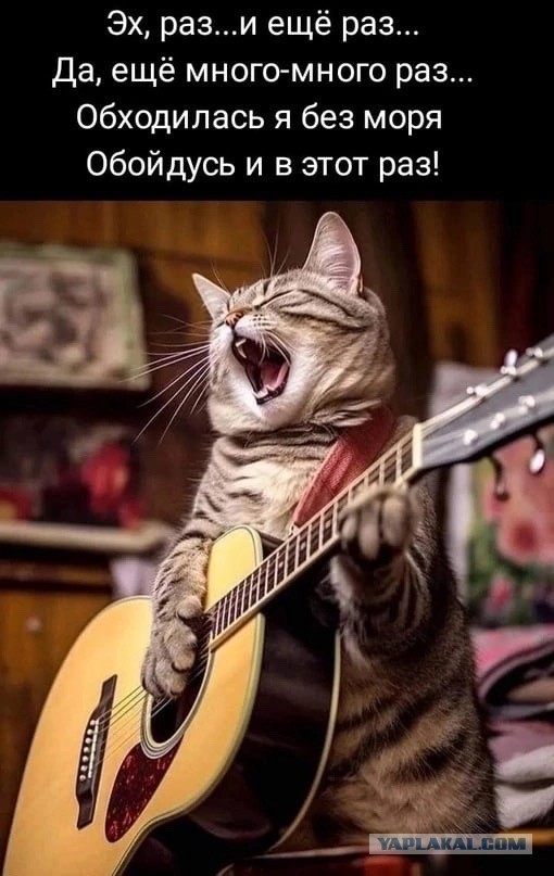 Женился на девственнице и пожалел!