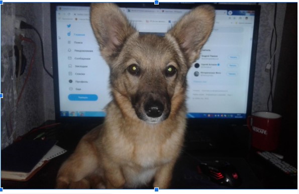 8 лет не виделись